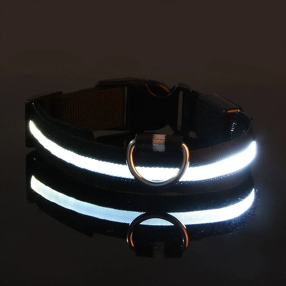 LED Glow Dog Collar & Leash | Nylon Night Safety Flashing Collar
