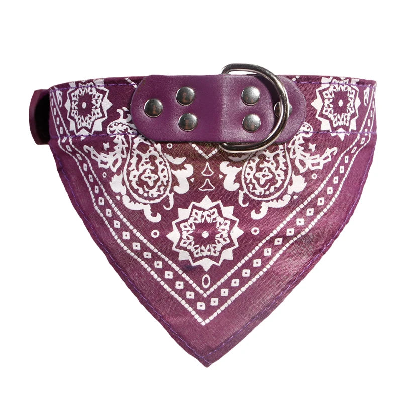 Dog & Cat Collar with Scarf | Adjustable PU Collar | XS–XL