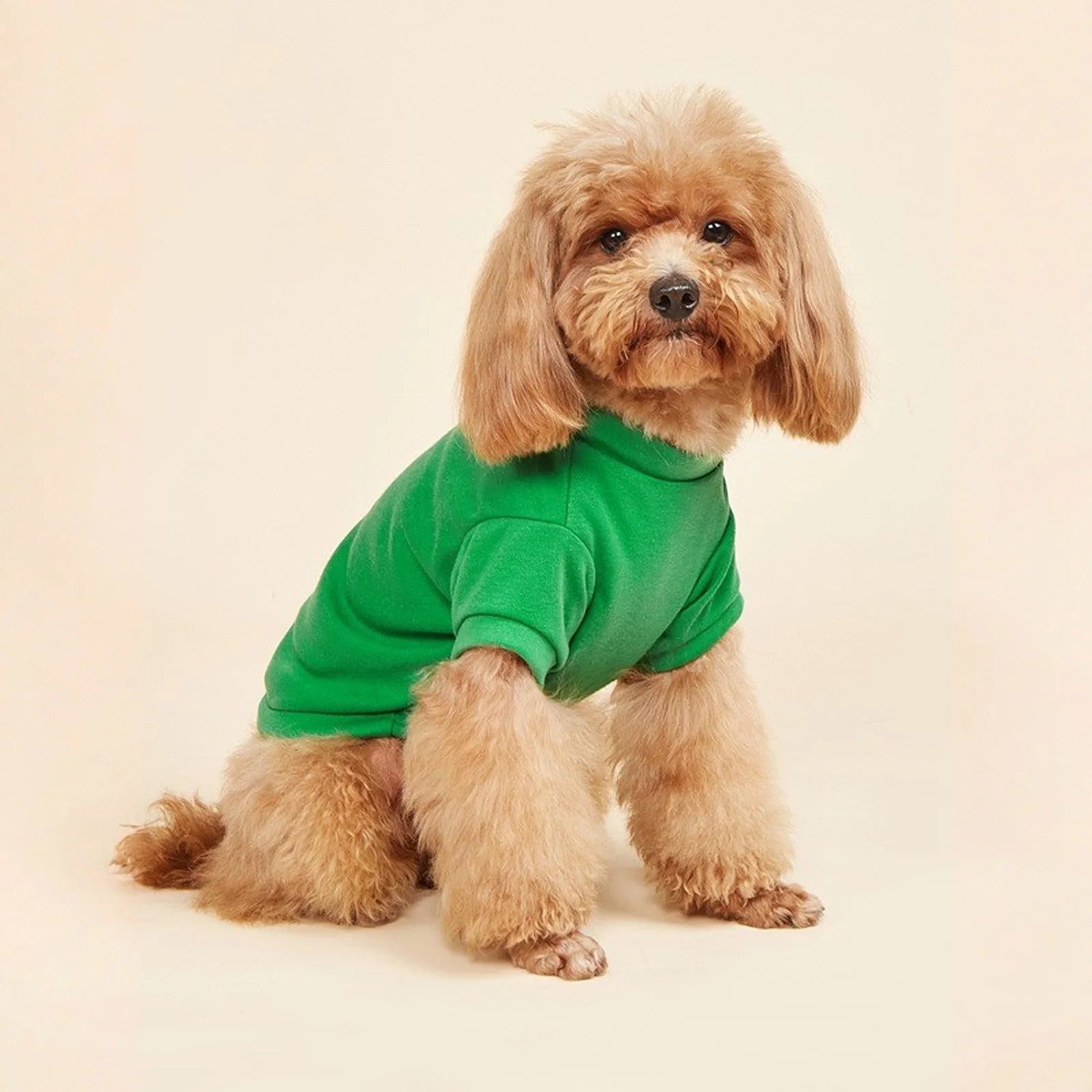 Lightweight Dog T-Shirt