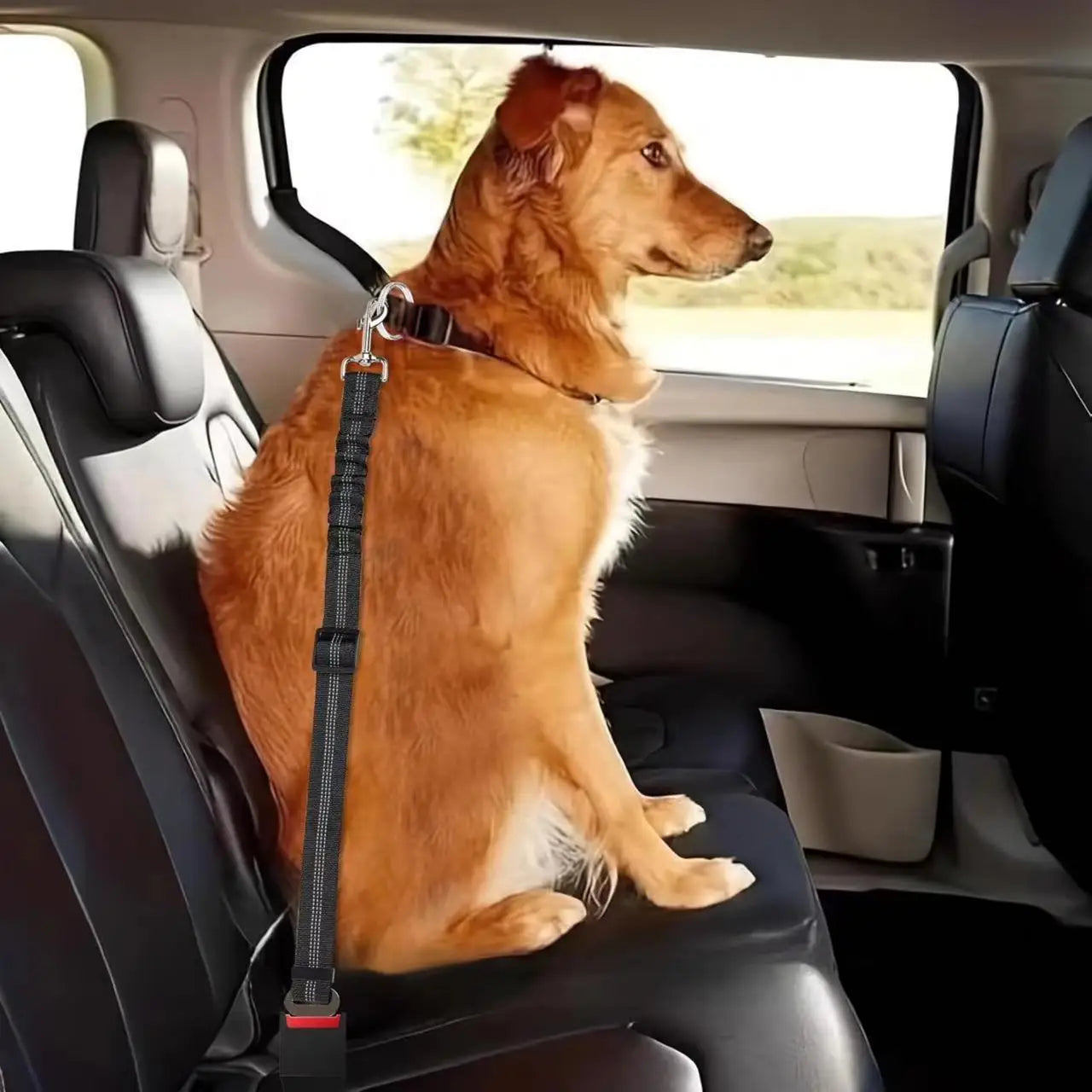 Nylon Pet Safety Seat Belt with Elastic Bungee Buffer Reflective