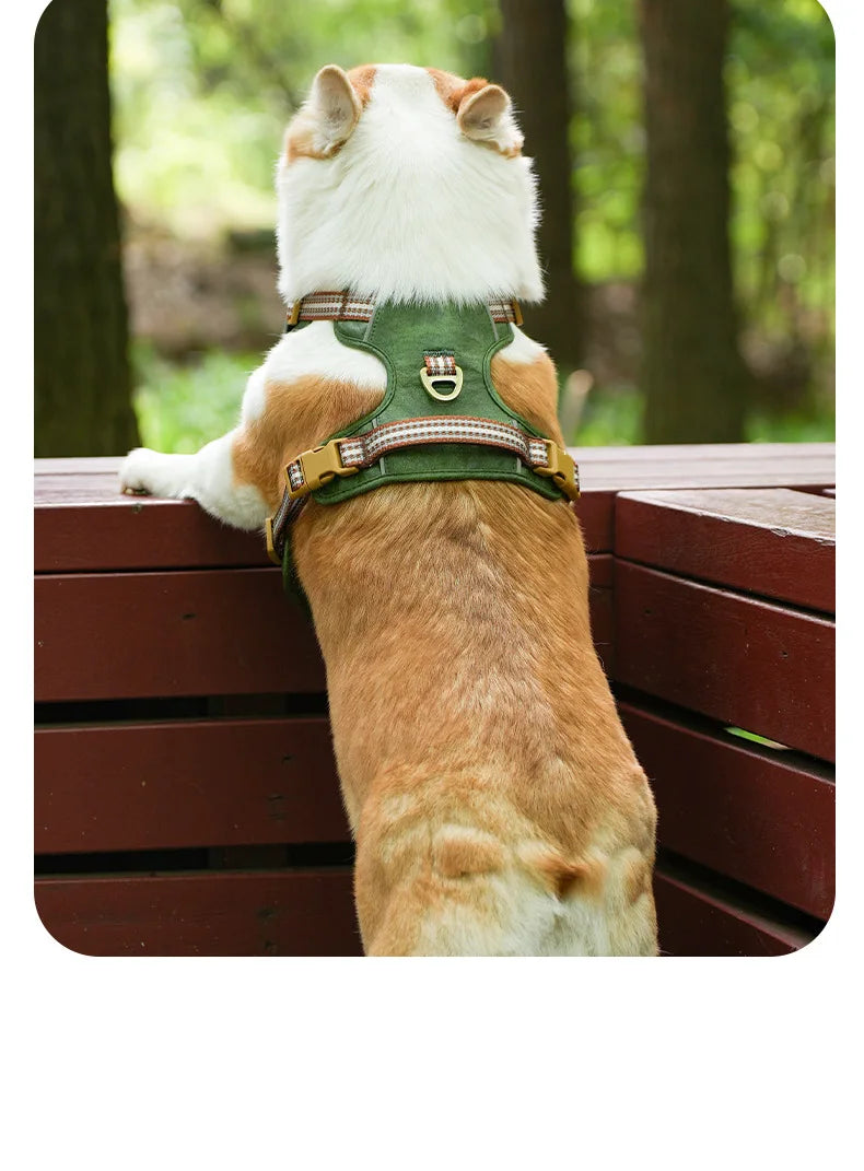 Retro leather pet chest strap, explosion-proof, reflective dog chest and back, breathable and adjustable Fashioned Furbabies