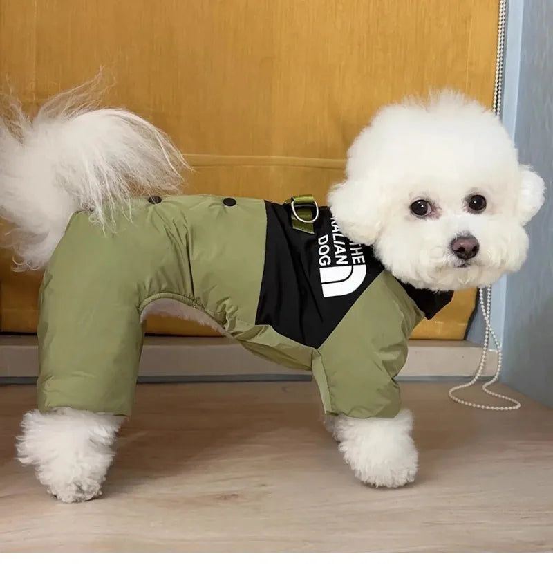 Four Legs Dog Face Design