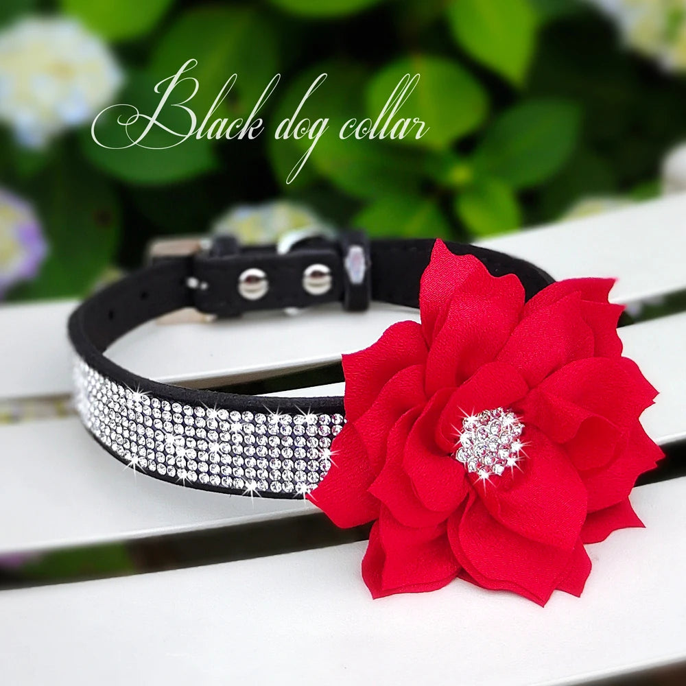 Rhinestone Dog Collar — Glitter Floral Suede Leather Collar & Optional 4ft Leash Set | Black, Blue, Pink & Purple | XS–L