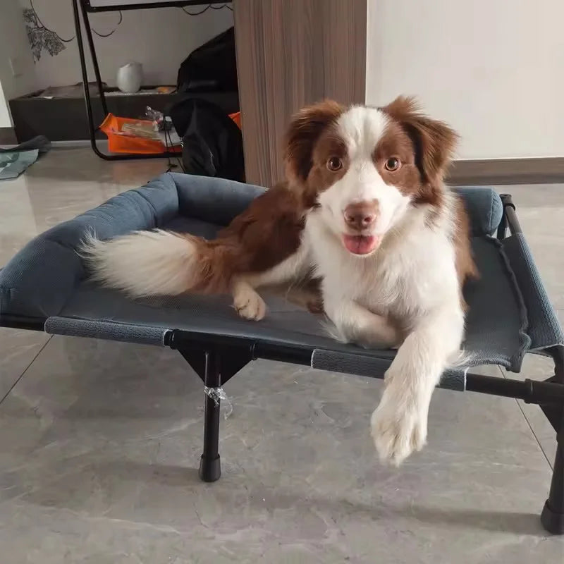 Elevated Cooling Mesh Pet Cot Bed with Neck Pillow — Breathable Four-Season Bed for Dogs & Cats | M & L | 3 Colors