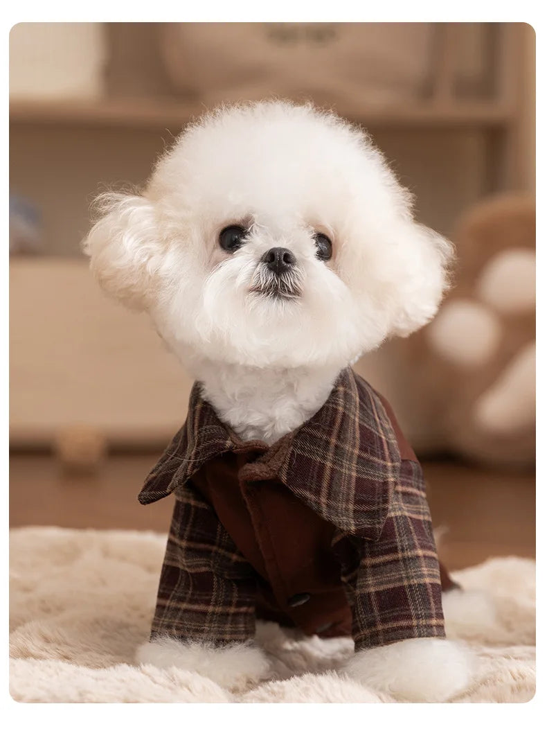 Autumn and Winter Pet Plaid Couple Outfit Thin Dress Hoodie Cat Teddy Jacket Dog Dresses for Small Dogs Puppy Clothes