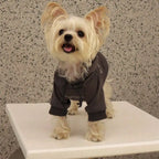 Autumn Days Dog Hoodie - Plush Warm Sweatshirt