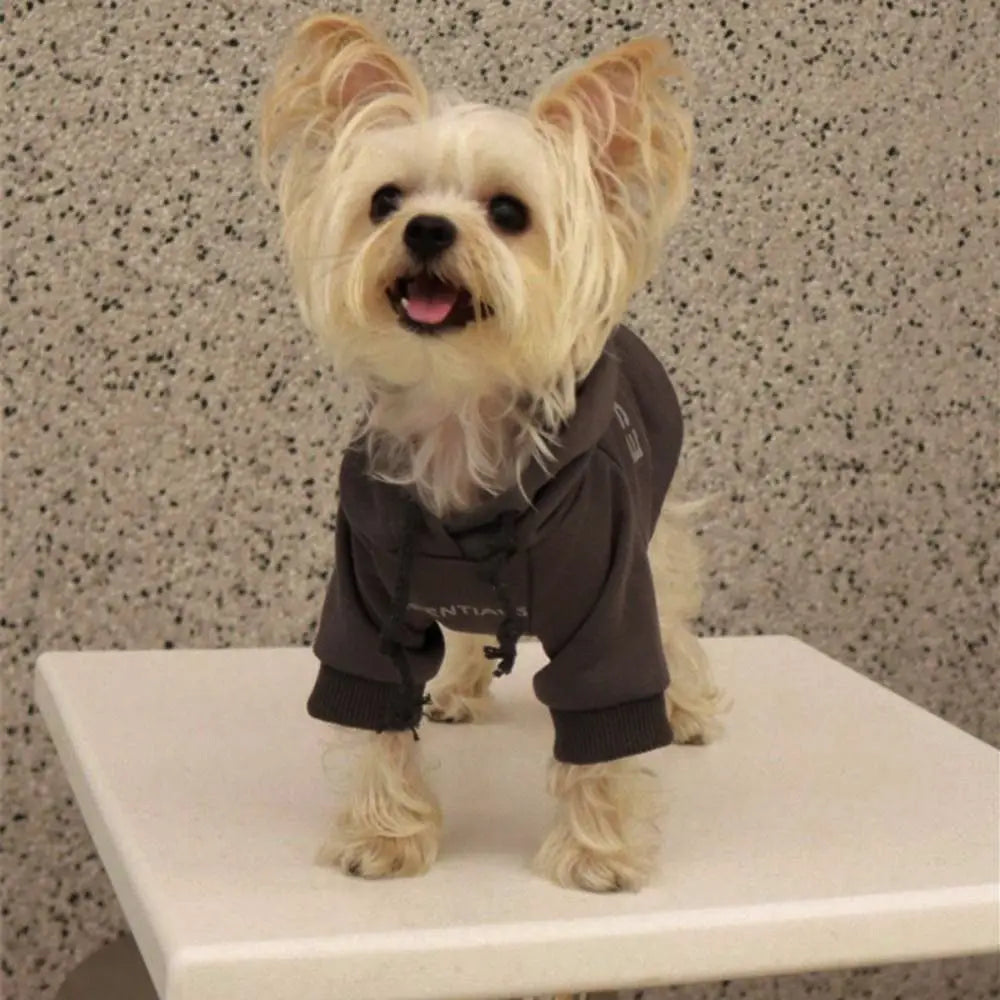 Autumn Days Dog Hoodie - Plush Warm Sweatshirt