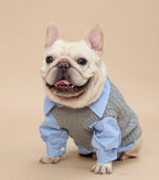 Cute Gray Pet Spring Autumn Dog Clothes Knitted Dog Cat Vest With Shirts 2 Pcs Clothing Set Fashioned Furbabies