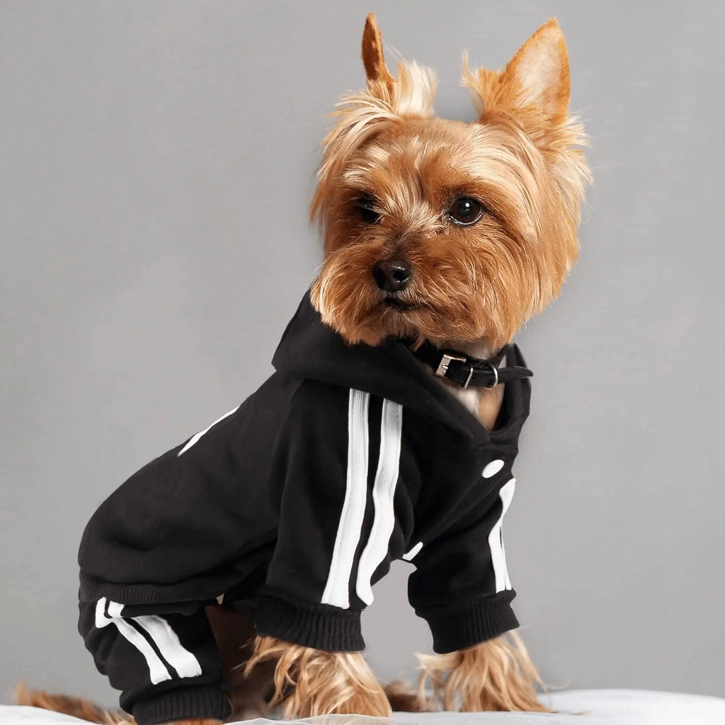 Classic Fashion Dog Hoodie, Four-Leg Design Pet Apparel, Puppy Dog Sweater for Small to Medium Breeds