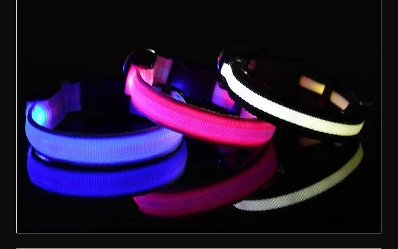 LED Glow Dog Collar & Leash | Nylon Night Safety Flashing Collar