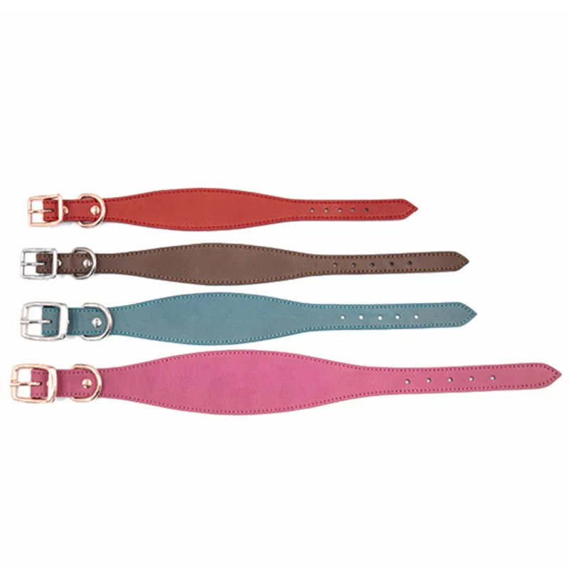 Padded Leather Sighthound Dog Collar