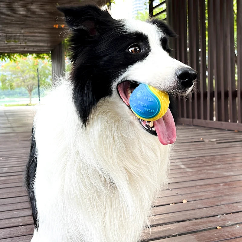 Squeaky Dog Ball Toy — Soft TPR Bite-Resistant Chew Toy for Teeth Cleaning & Interactive Play