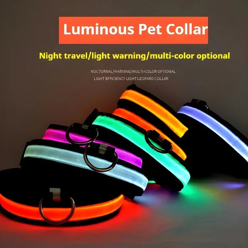 LED Glow Dog Collar & Leash | Nylon Night Safety Flashing Collar