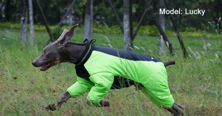 Reversible Waterproof Dog Coat - Reflective Outdoor Jacket