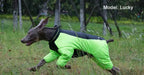 Reversible Waterproof Dog Coat - Reflective Outdoor Jacket