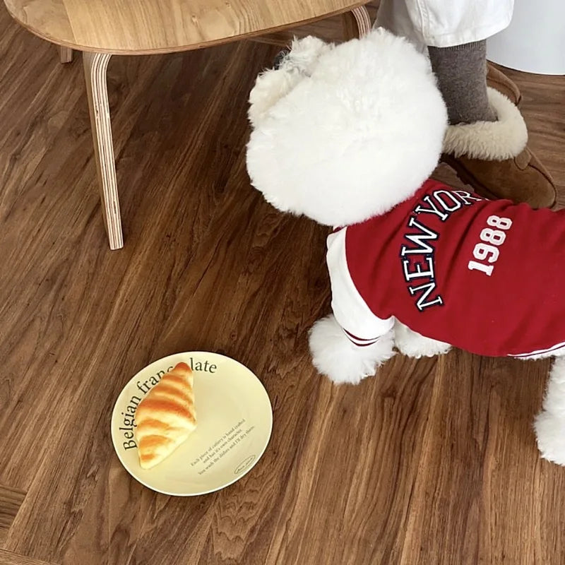 Colorblock Baseball Jacket for Small Dogs — Fleece Letter Print Coat | XS–XL
