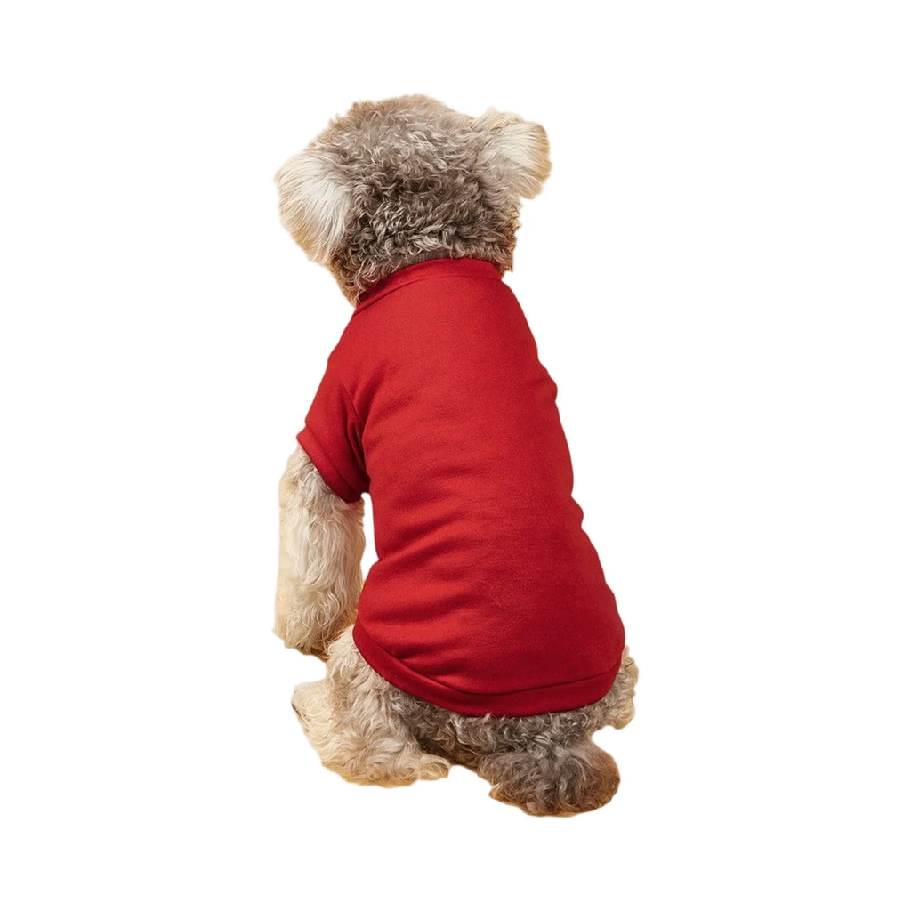 Lightweight Dog T-Shirt
