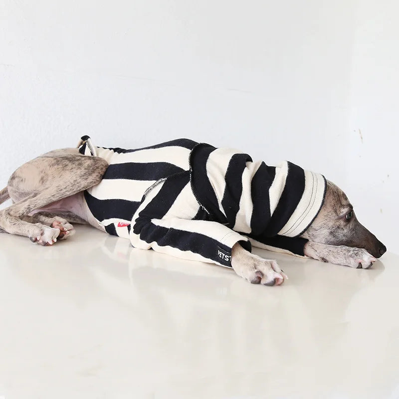 Winter Knitted Thing Dog Greyhound 2 Legged  Long Sleeve Pet Shirts Slim Dog Whibitt Pajamas Sweatshirts Knitwear