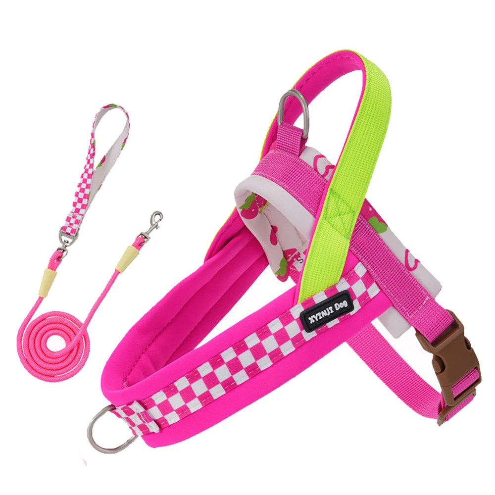 Plaid Saddle-Style Puppy Harness & Leash Set