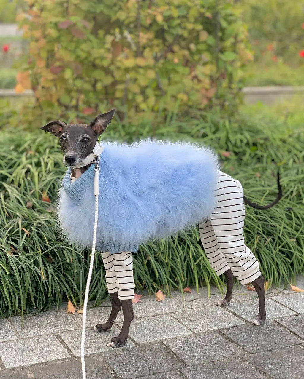 Luxury Fur Dog Coat — Warm Core Yarn Sweater for French Bulldogs, Pugs & Small Breeds | Autumn & Winter | 3 Colors