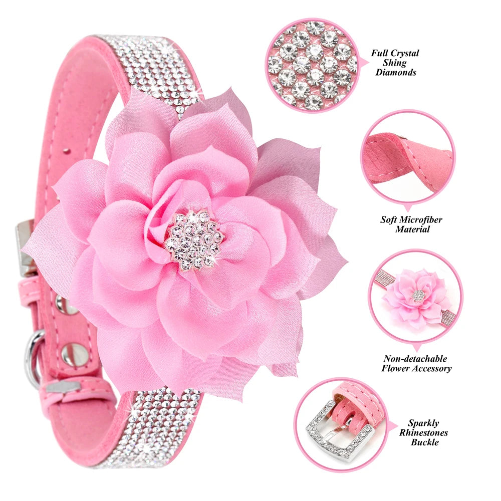 Rhinestone Dog Collar — Glitter Floral Suede Leather Collar & Optional 4ft Leash Set | Black, Blue, Pink & Purple | XS–L