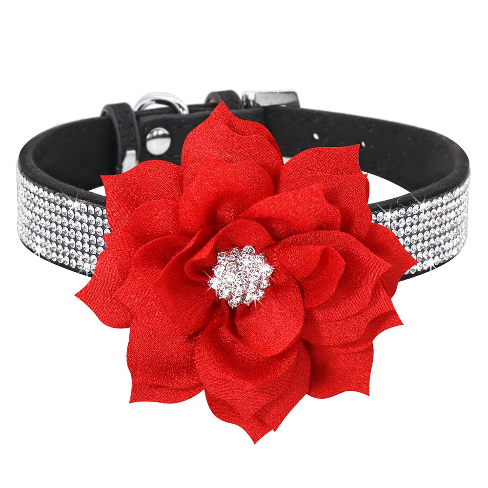 Rhinestone Dog Collar — Glitter Floral Suede Leather Collar & Optional 4ft Leash Set | Black, Blue, Pink & Purple | XS–L