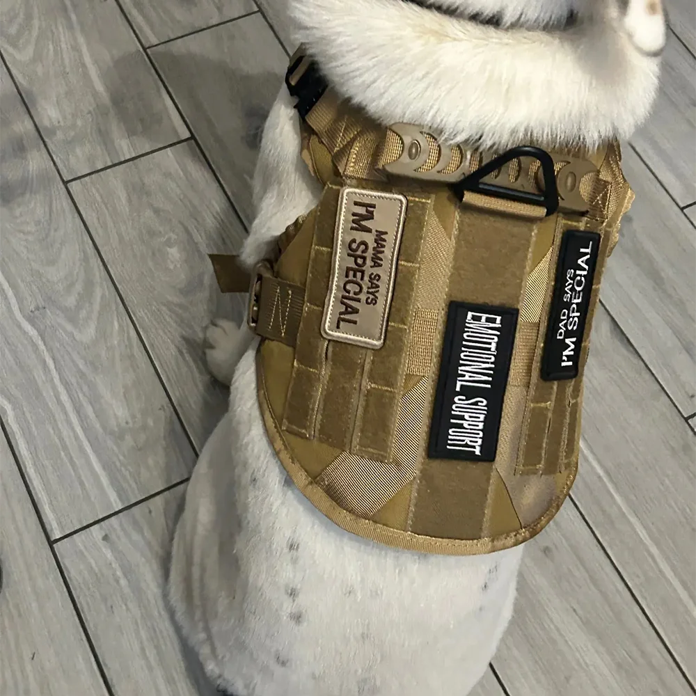 Embroidered Service Dog Patch — Removable Velcro ID Tag for Dog Vests, Harnesses & Tactical Gear