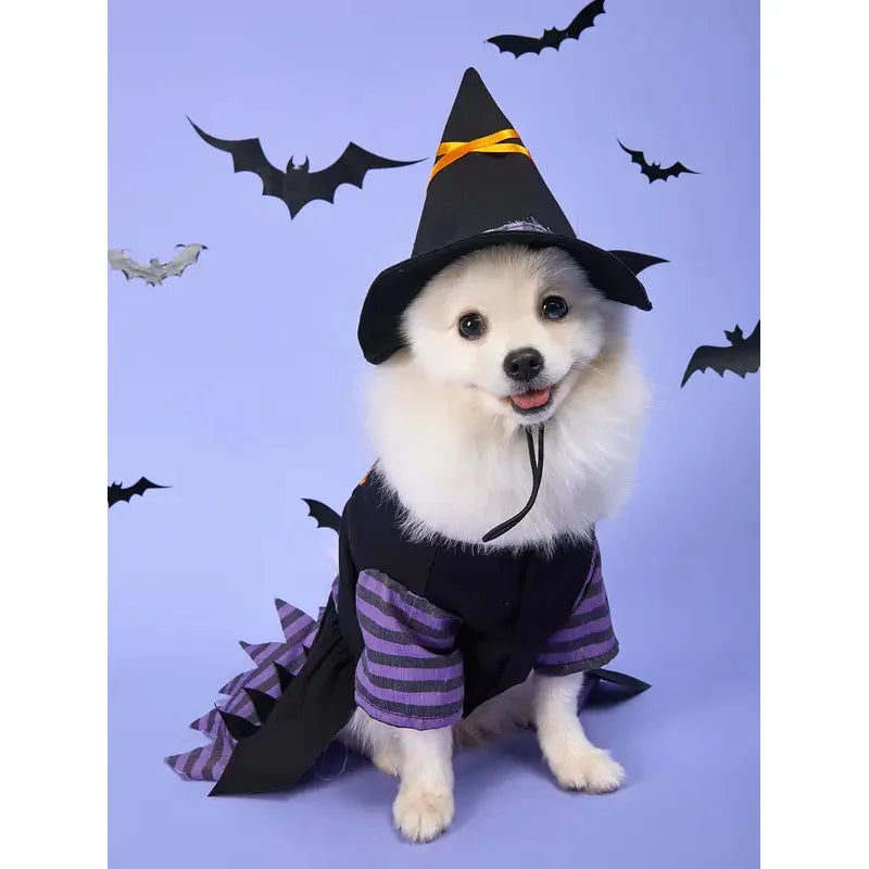 Halloween Witch Pet Costume with Hat | Witch Dress & Hat Cosplay for Dogs & Cats
