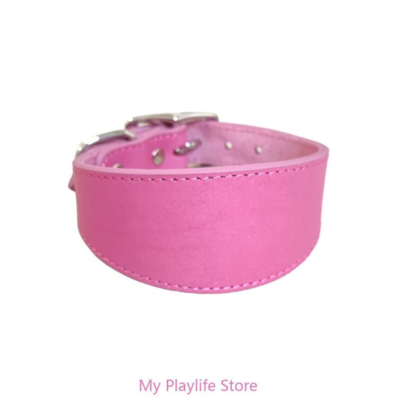 Padded Leather Sighthound Dog Collar