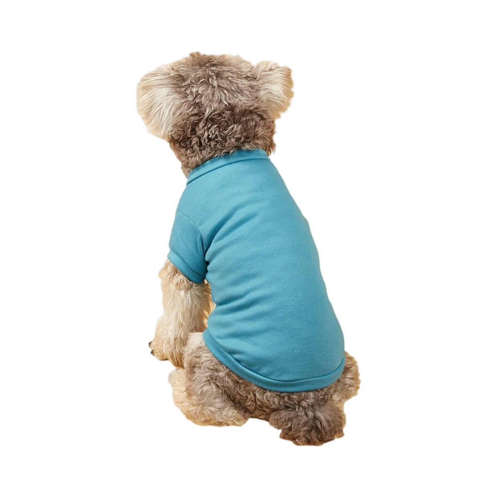 Lightweight Dog T-Shirt