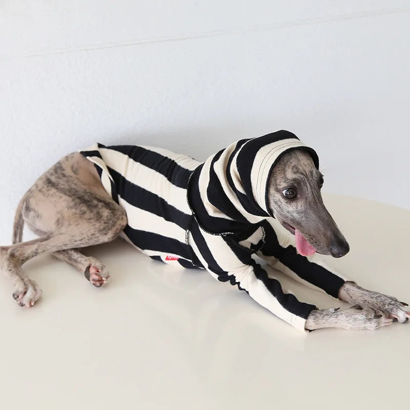 Winter Knitted Thing Dog Greyhound 2 Legged  Long Sleeve Pet Shirts Slim Dog Whibitt Pajamas Sweatshirts Knitwear