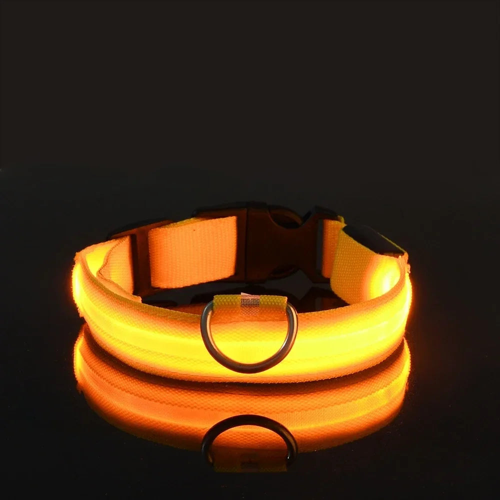 LED Glow Dog Collar & Leash | Nylon Night Safety Flashing Collar
