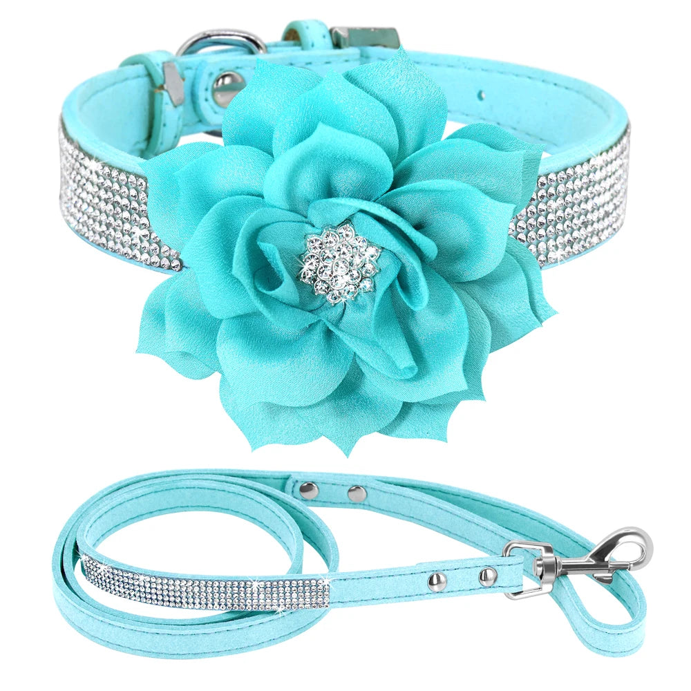 Rhinestone Dog Collar — Glitter Floral Suede Leather Collar & Optional 4ft Leash Set | Black, Blue, Pink & Purple | XS–L