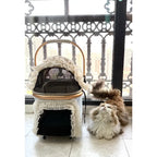 Luxury Pet Stroller 3 in 1  Detachable Carrier