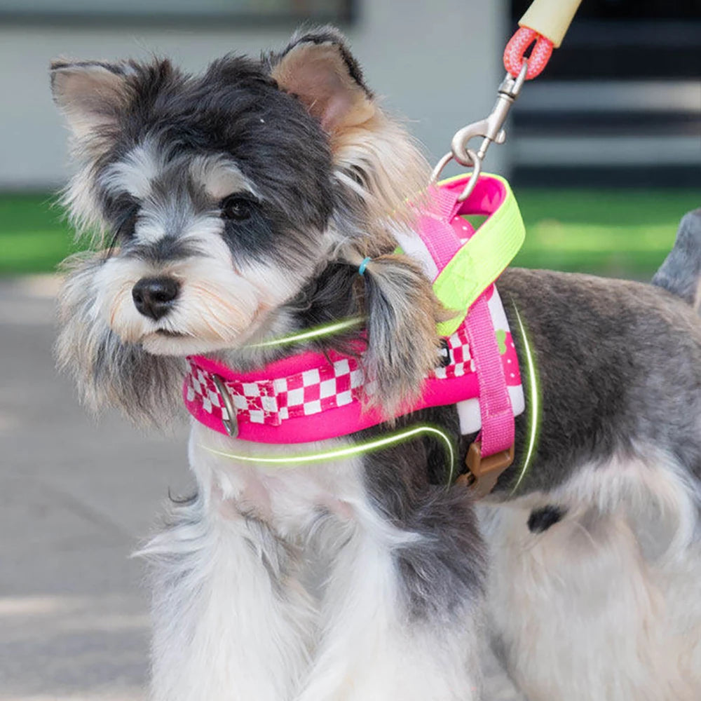Plaid Saddle-Style Puppy Harness & Leash Set