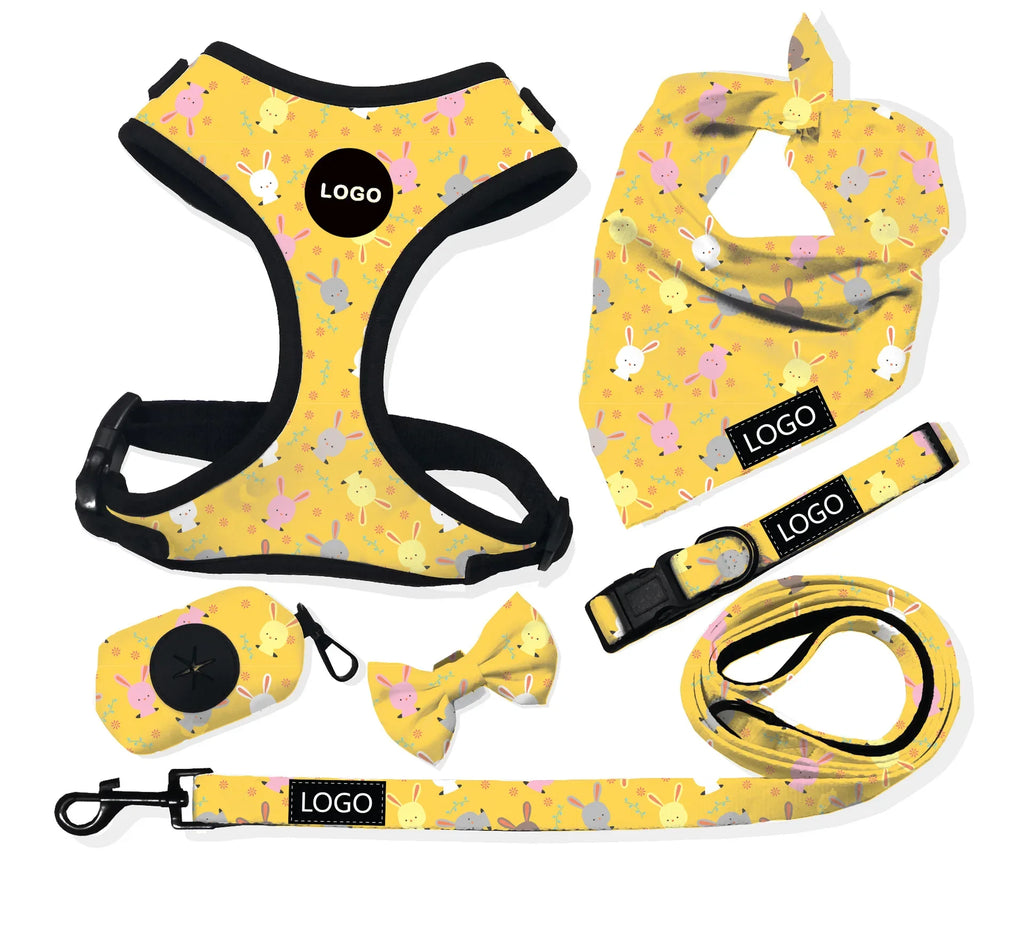 Custom Neoprene Waterproof Padded Mesh Designer Pet Bandana Neck Collar Lead Set Dog Harness Leash