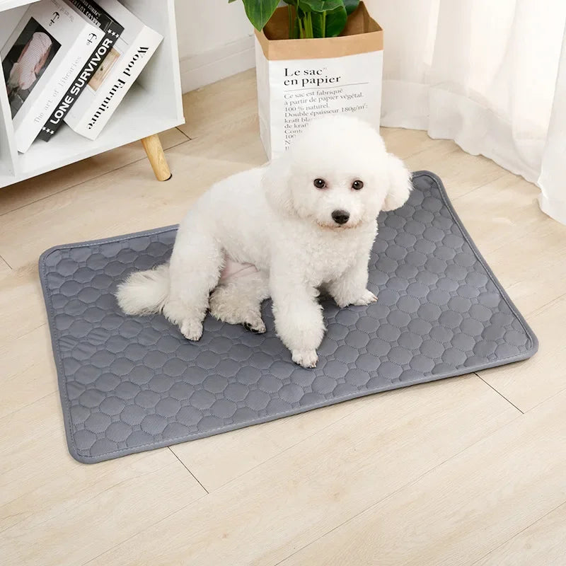 Reusable Dog Pee Pad & Training Mat — Washable 4-Layer Absorbent Waterproof Pet Blanket for Crate, Car & Home