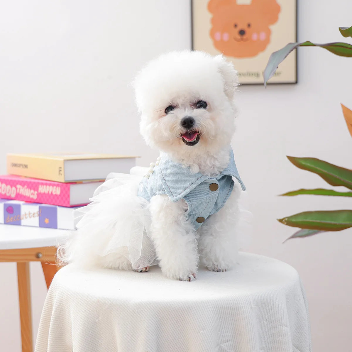 Bride Apparel For Dogs Autumn Denim Coat With Tutu Skirt Pet Dresses For Small Puppy Animal Cat Dachshund Suit Chihuahua Clothes Fashioned Furbabies