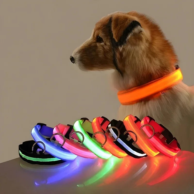LED Glow Dog Collar & Leash | Nylon Night Safety Flashing Collar