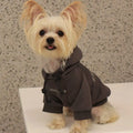 Autumn Days Dog Hoodie - Plush Warm Sweatshirt
