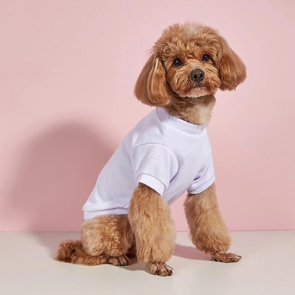 Lightweight Dog T-Shirt