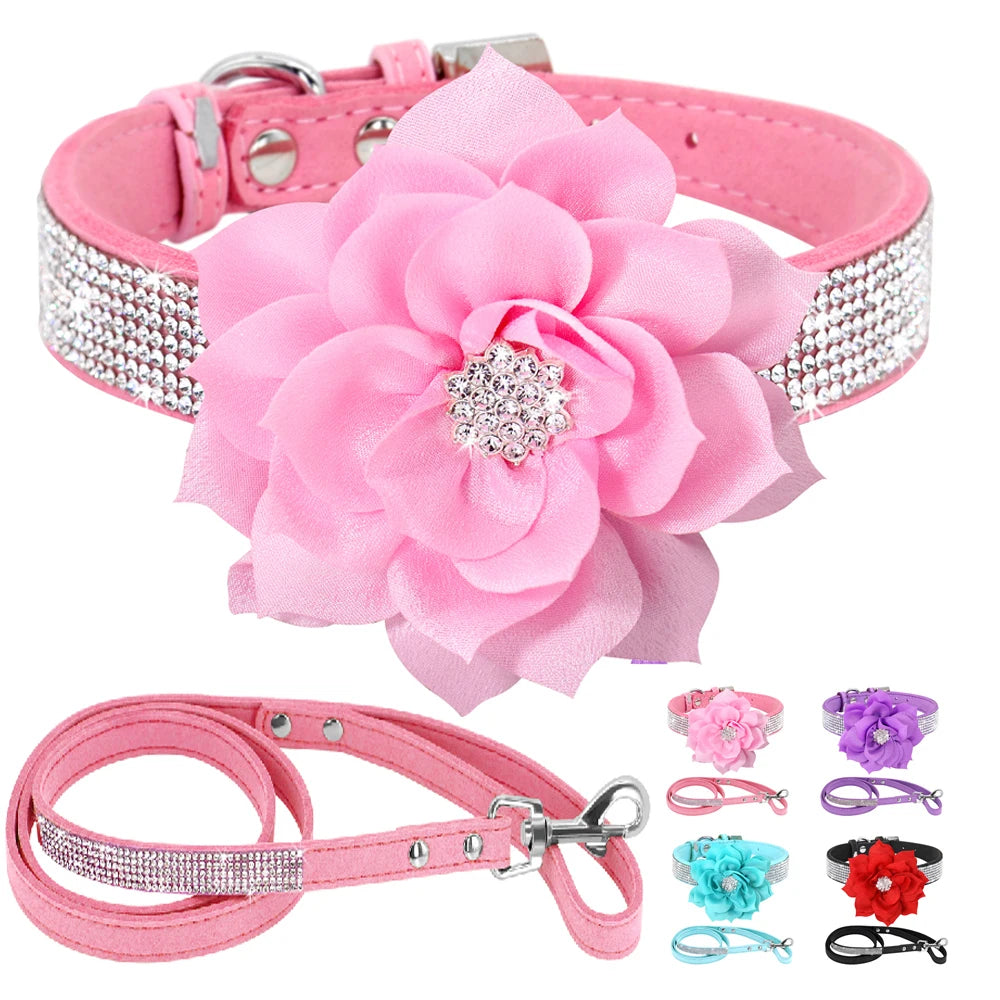 Rhinestone Dog Collar — Glitter Floral Suede Leather Collar & Optional 4ft Leash Set | Black, Blue, Pink & Purple | XS–L