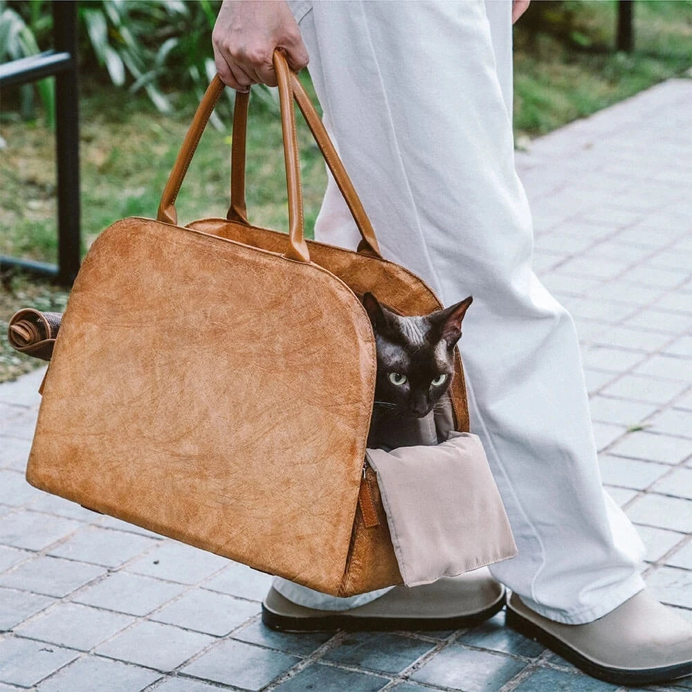 Windproof PU Leather Pet Carrier Bag — Warm Travel Handbag with Dual Mats for Small Dogs & Cats | Black & Brown