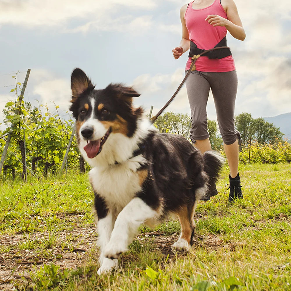 Hands-Free Running Dog Leash with Waist Belt