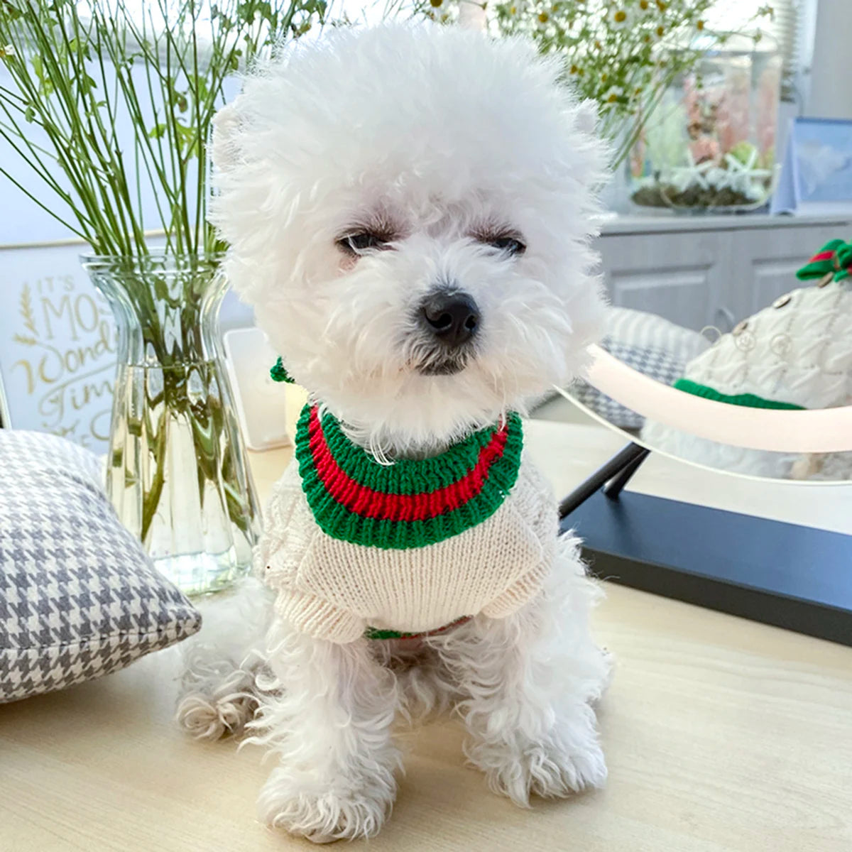 Ribbon Bow Pucci Pullover Sweater