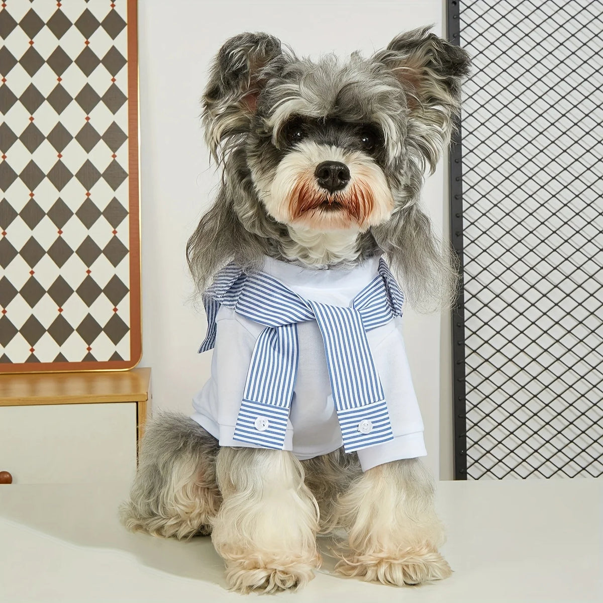 Casual Summer Dog T-Shirt