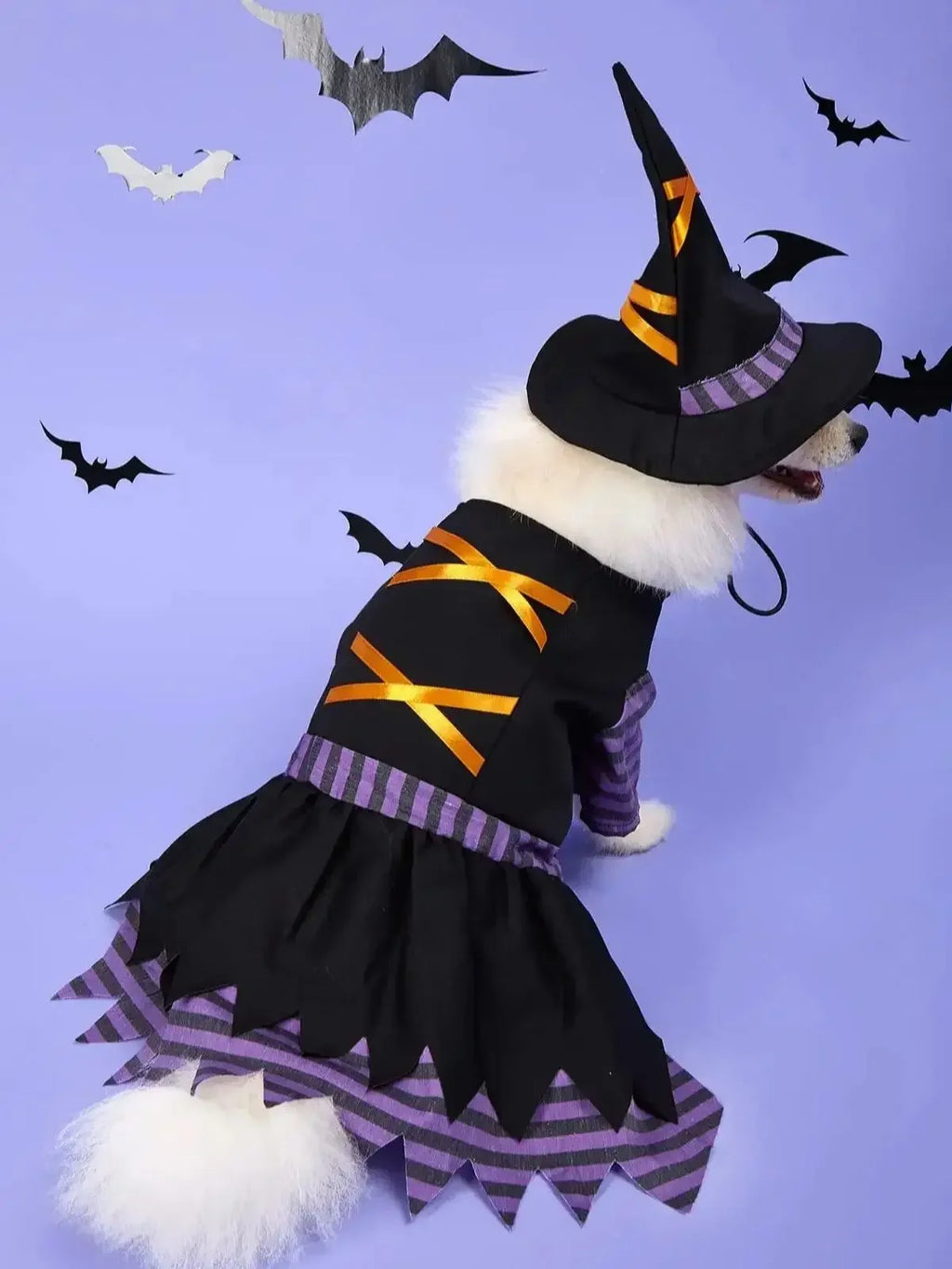 Halloween Witch Pet Costume with Hat | Witch Dress & Hat Cosplay for Dogs & Cats