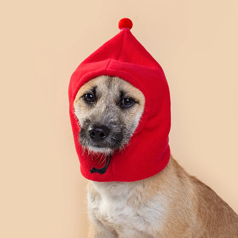 Pet winter hat