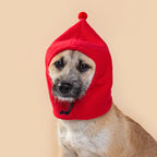 Pet winter hat
