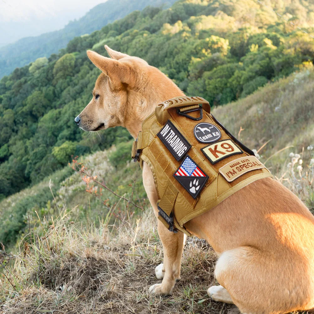 Embroidered Service Dog Patch — Removable Velcro ID Tag for Dog Vests, Harnesses & Tactical Gear